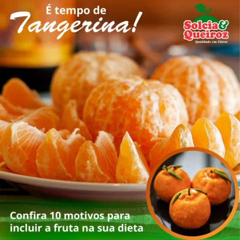Tangerina: 10 motivos para incluir a fruta na dieta