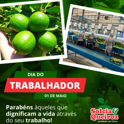 Dia do Trabalhador