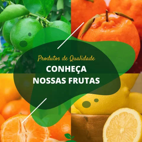 Produtos de Qualidade. Conheça Nossas Frutas!