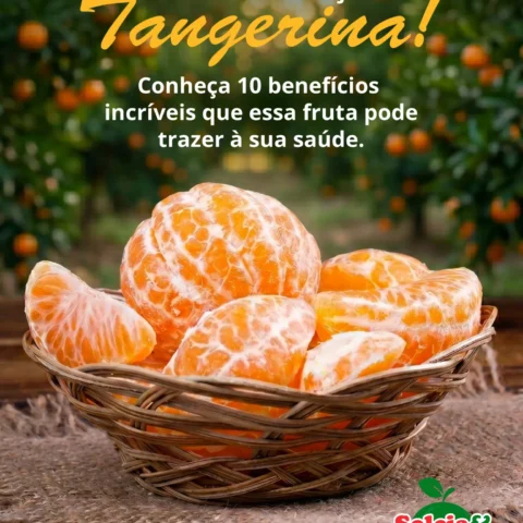 Tangerina: 10 motivos para incluir a fruta na dieta