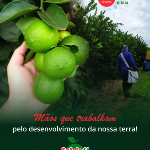 Dia do Trabalhador Rural