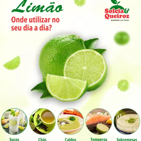 Limão: Versatilidade e sabor no seu dia a dia!