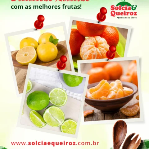 Deliciosas Receitas com as Melhores Frutas