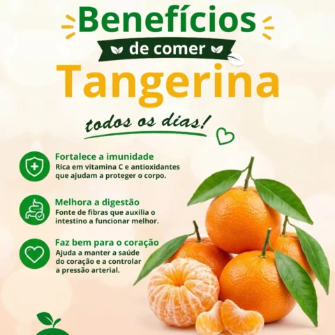 Benefícios de comer Tangerina todos os dias!