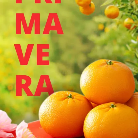 Bem-vinda Primavera!
