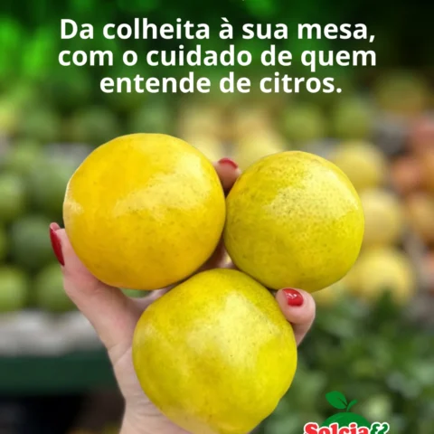 Lima da Pérsia